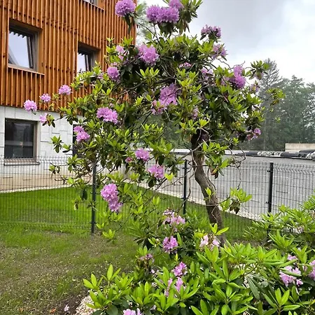 Apartament Stone Hill Szklarska Poręba