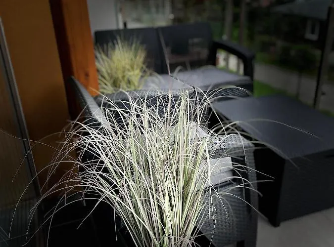 Stone Hill Lägenhet Szklarska Poręba